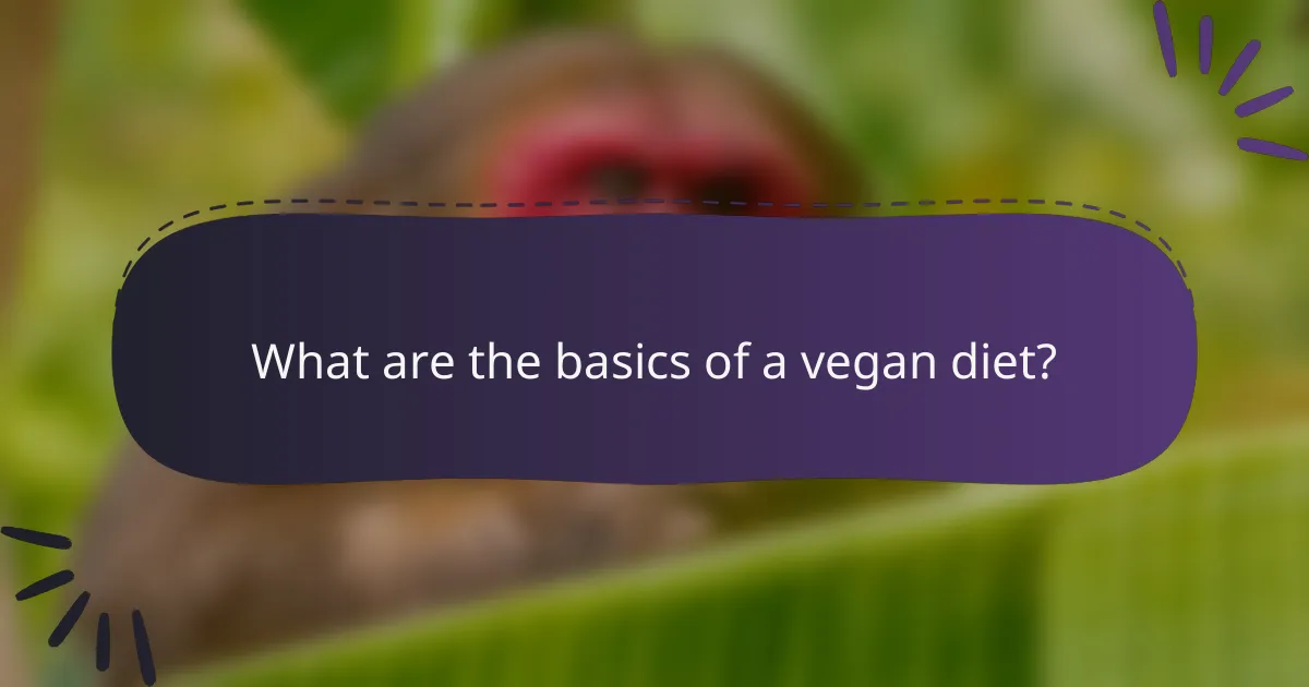 What are the basics of a vegan diet?