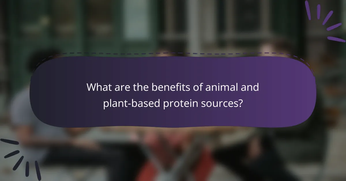 What are the benefits of animal and plant-based protein sources?