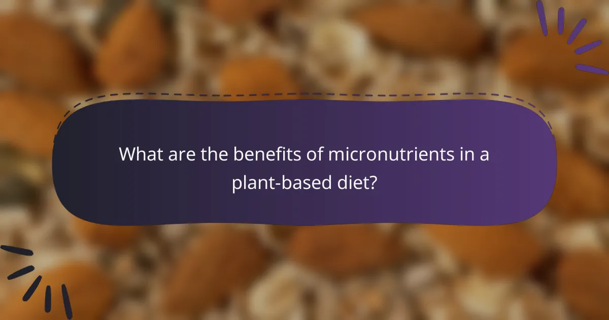 What are the benefits of micronutrients in a plant-based diet?